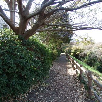 先に進みます。