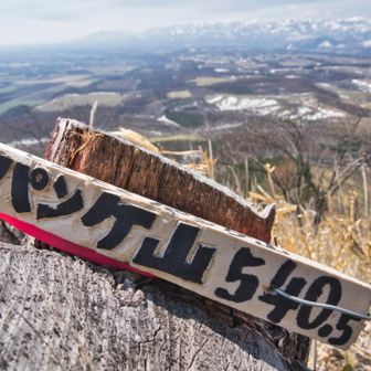！！カワイイ標識発見！！超ちいちゃいよ。背景はカッコイイ日高山脈。