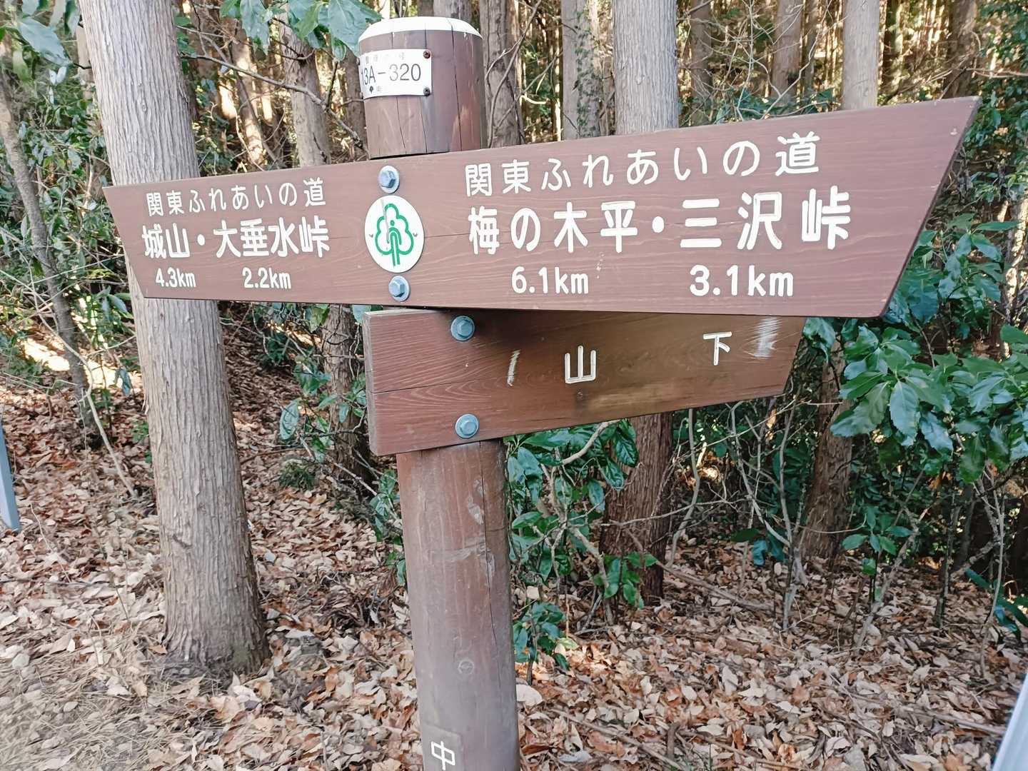 大垂水峠から南高尾山稜 縦走コース　の写真