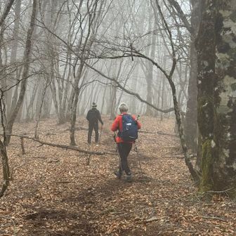 降り道雪解けでべちゃべちゃでよく滑る。
