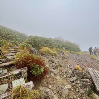 姥ヶ岳分岐