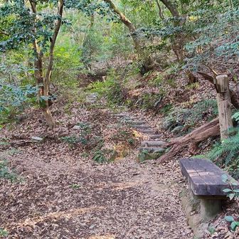 御手洗の滝の分岐まで、戻って来ました。
帰路は、御手洗の滝には寄らず、直進します。