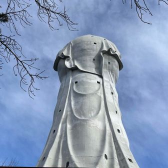 後姿
だいぶ猫背ですね🐈
穴みたいなのは窓🪟