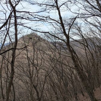中岳と小野子山