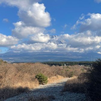 富士山🗻源頼朝見たかもしれない景色
