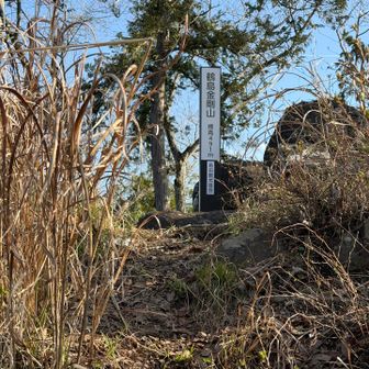 気になっていた道、繋げた〜🙌