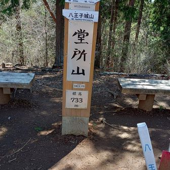 最後の目標、堂所山に到着。赤岩山も見逃した🥲陣馬山から景信山に向かうルートから少しだけ逸れます。ここでサンドイッチとコーヒーで少し休憩して、戻る事にしました。