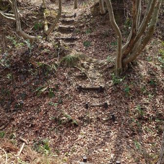 堀切りを超えて