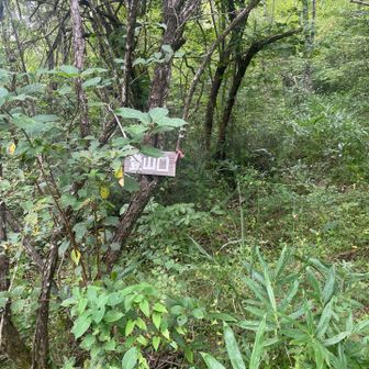 登山口まで下ってきた