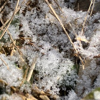 でも、今朝降った雪はそのまま残ってる