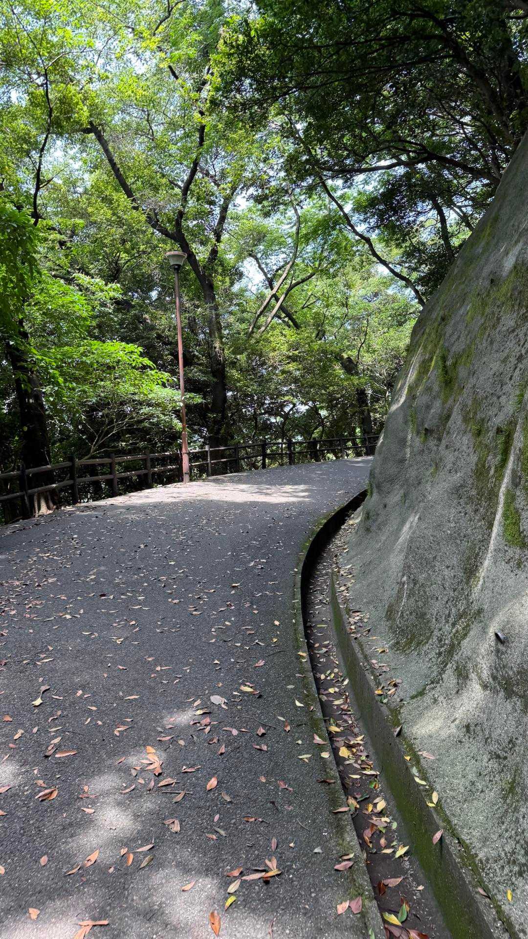 金比羅山 往復コースの写真