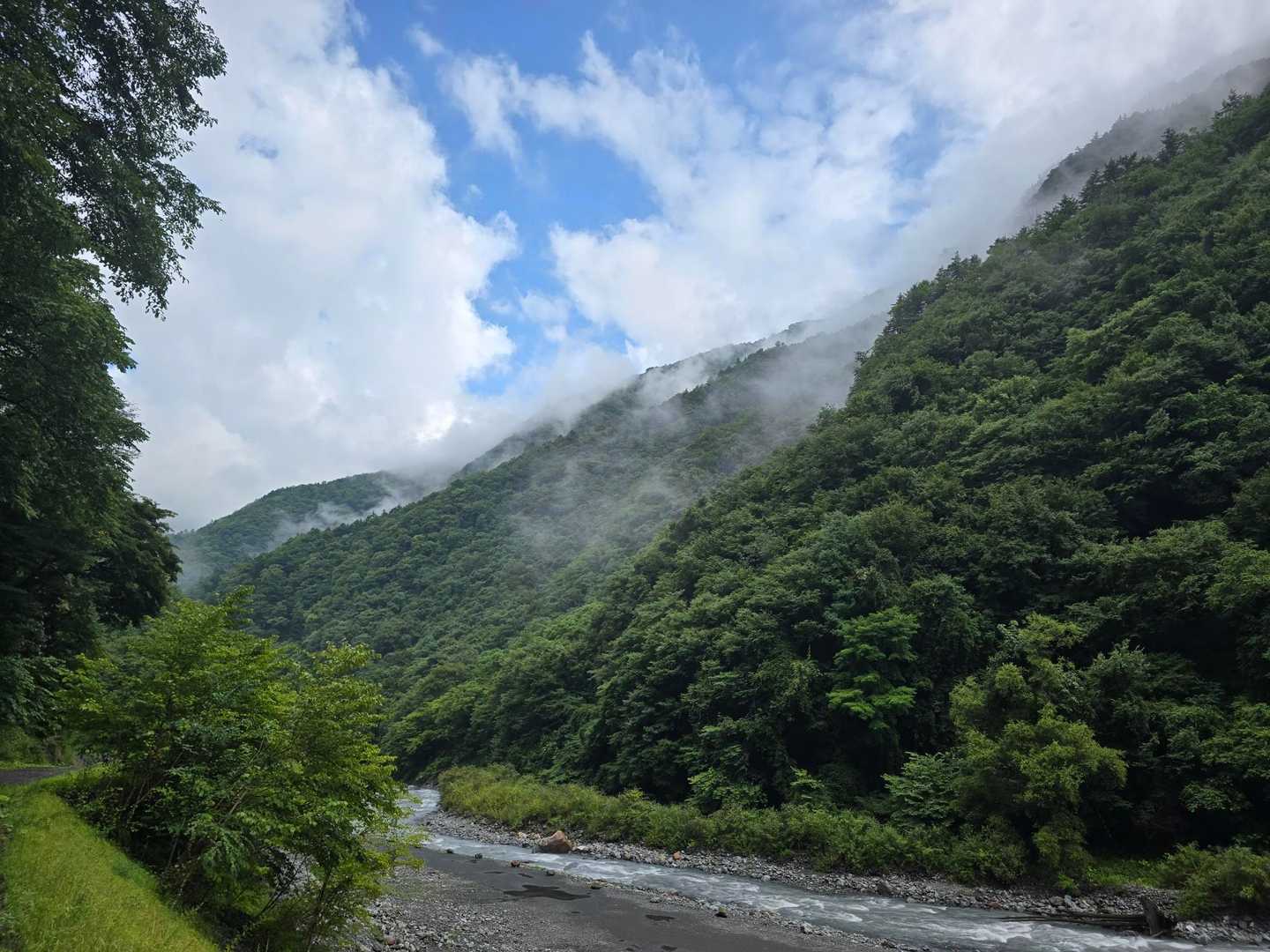 林道に出たら青空が。