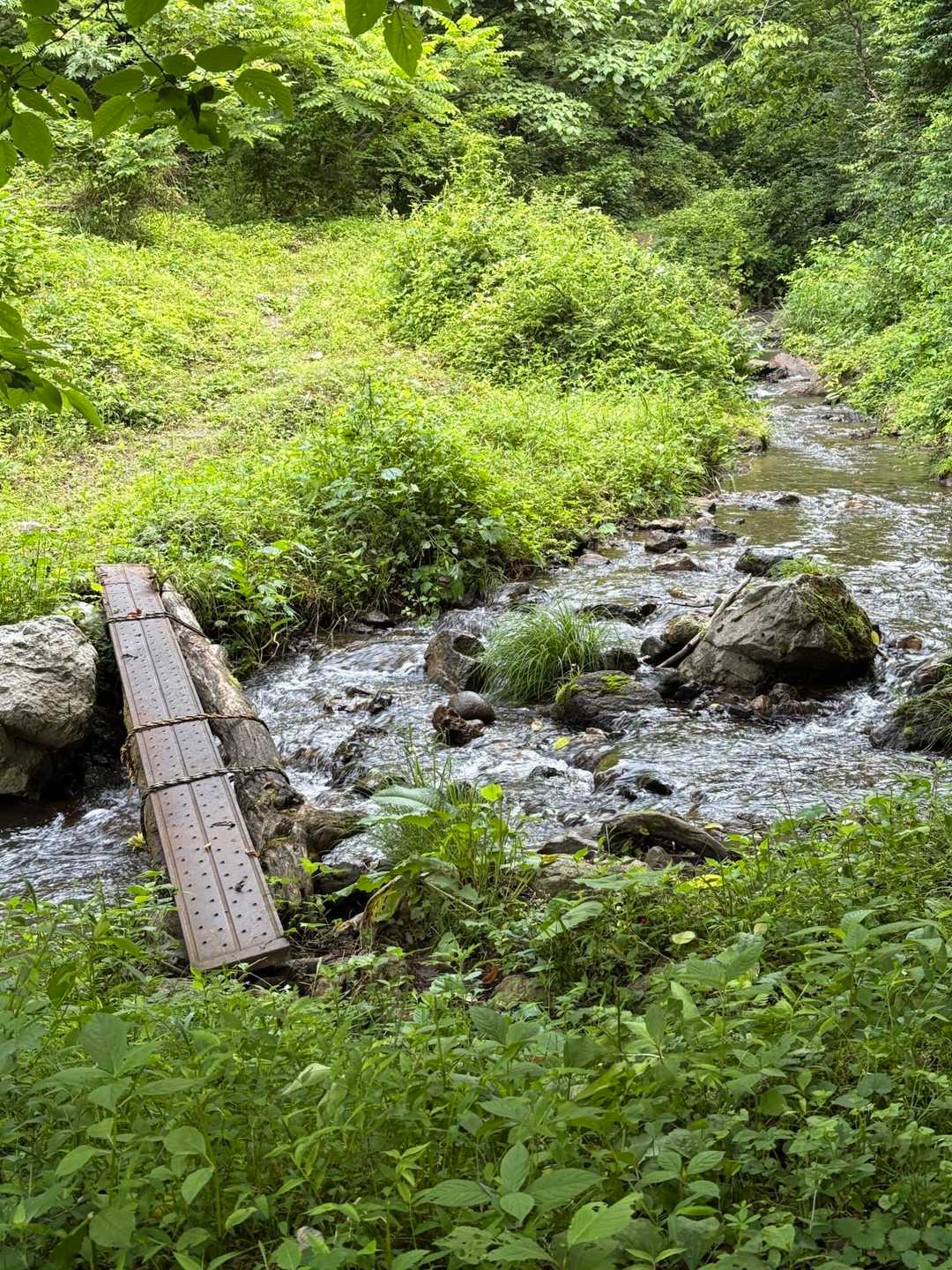 白谷登山口-横山岳-鳥越峠-エコチ谷登山口 周回コースの写真