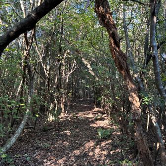 帰りは山道を
蜘蛛の巣すげえ、マジもう来ねえ