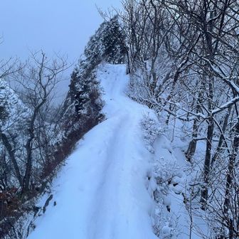 これからの時期、ここが1番怖い道