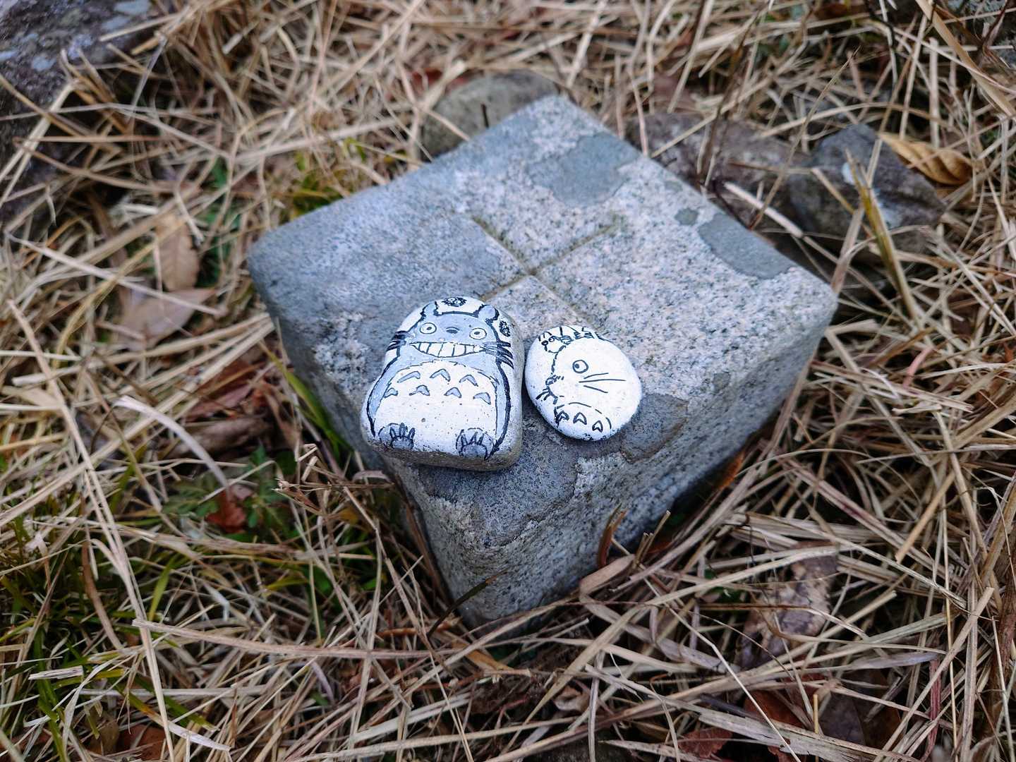 一等三角点▲
立派です✨
我々もお昼を食べて下山