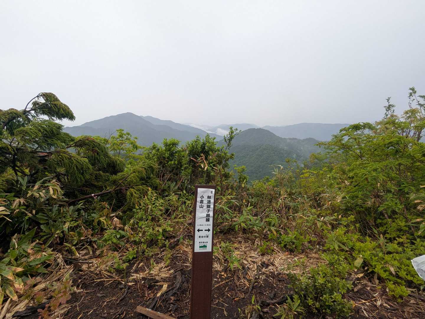宮谷の頭
「頭」に「かしら」とフリガナ
え、「ずこ」だよね