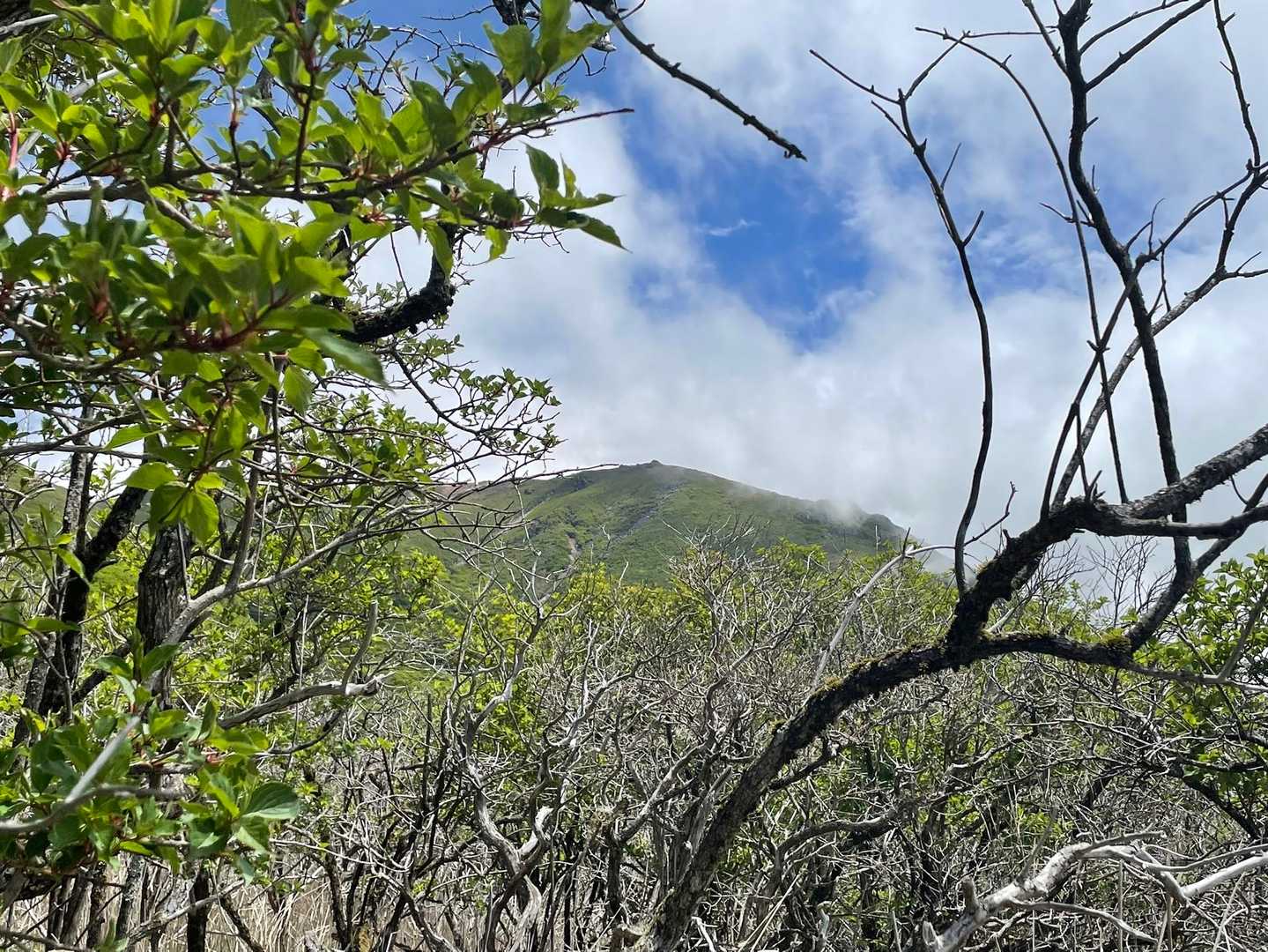 稲星山が見えました