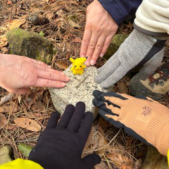 グレーピークに三角点が。ピカチュウ乗ってた🤭