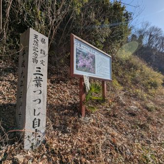 どう考えても今の時期に来る山じゃないなこれは。と思いながらスタート。

山名の時点で推して知るべしって感じだけど...