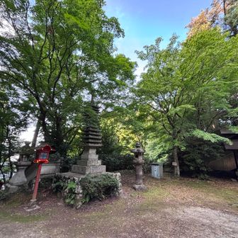 紅葉時期は絶景やけど、緑の季節もええなあ。𓂃🍀𓈒𓏸