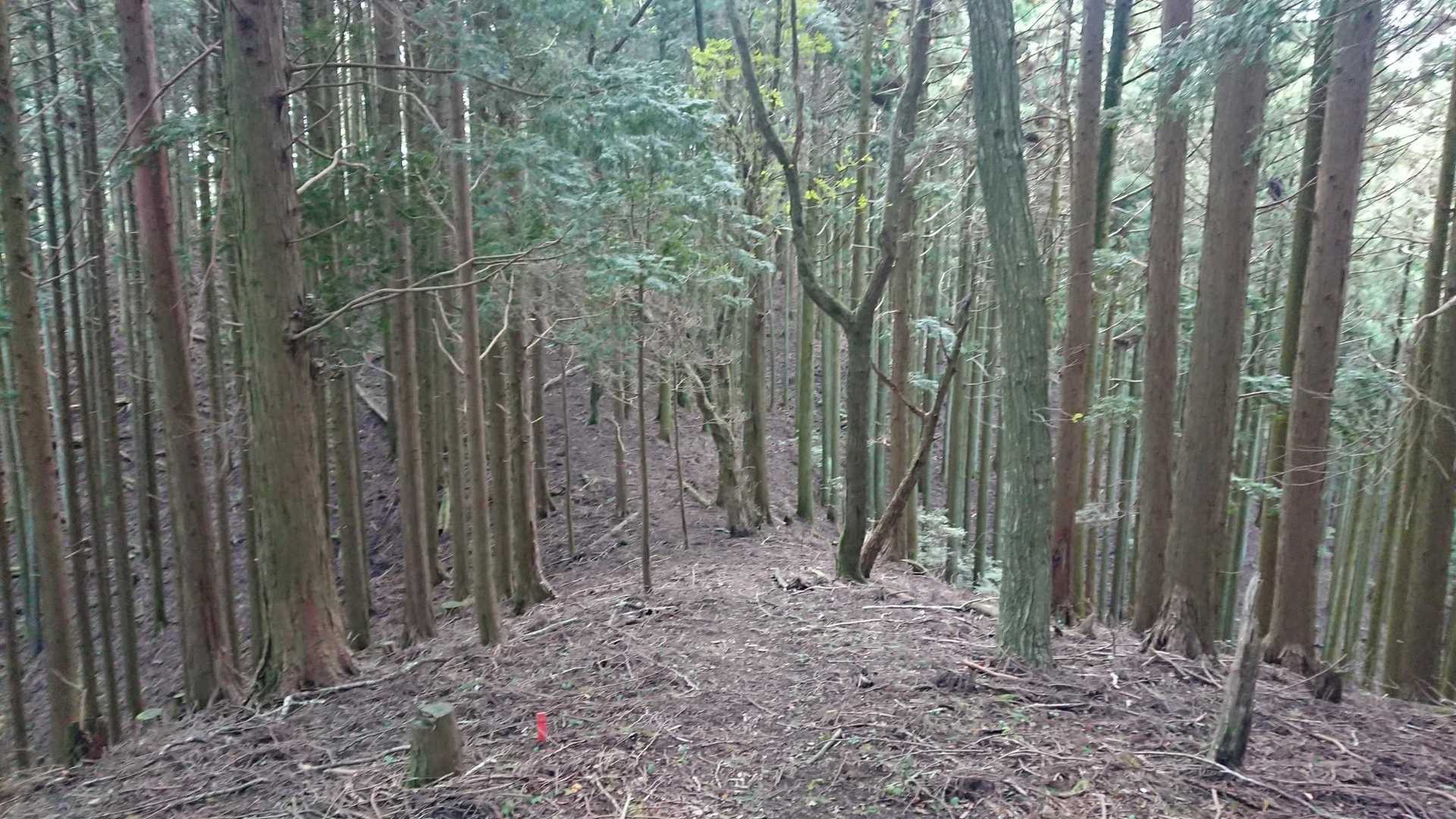 緩いアップダウンを繰り返す。