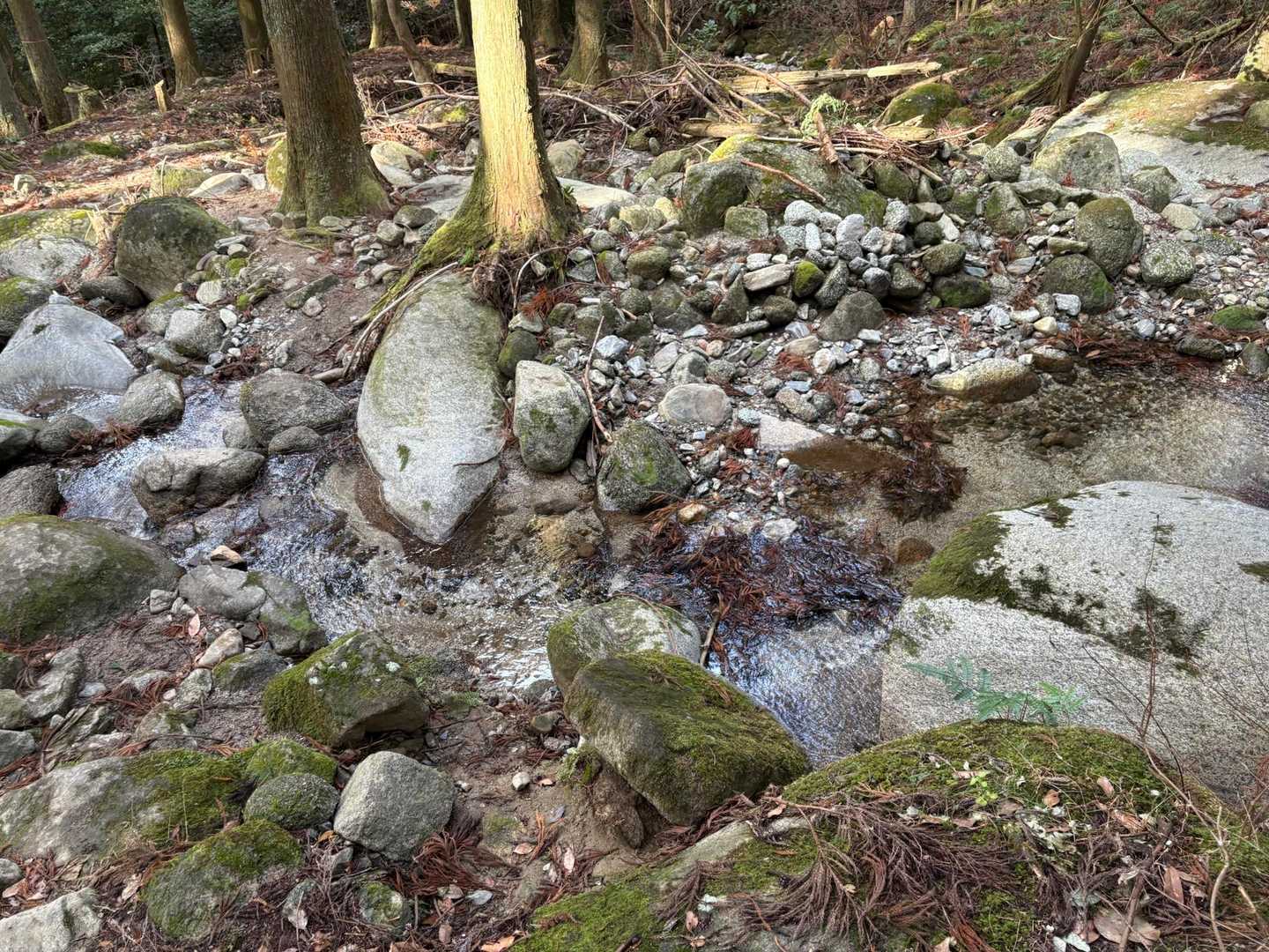 水がキレイ！少し飲んじゃいました。
今日も山に感謝！