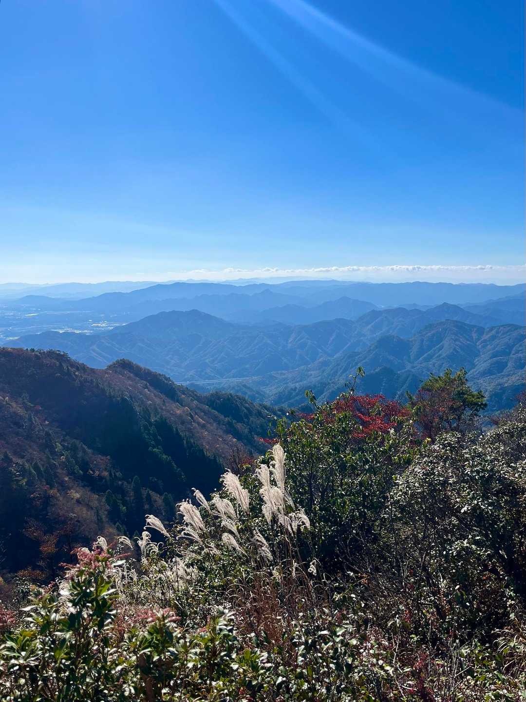 宮指路岳-小社峠-仙ヶ岳 縦走コースの写真