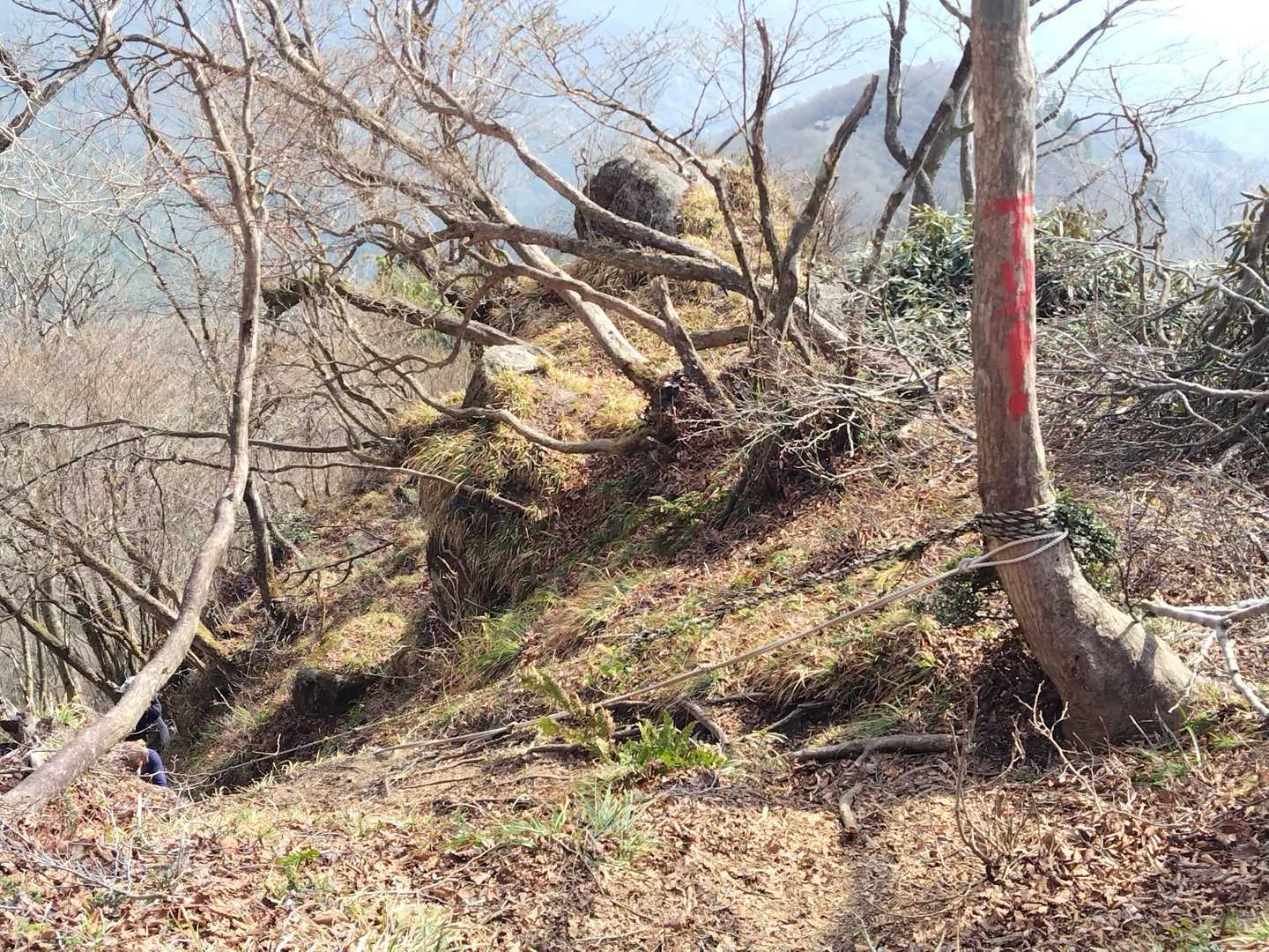 山頂への最後の最後にロープ！
足元はここだけ砂地🤣
しんどかった💦