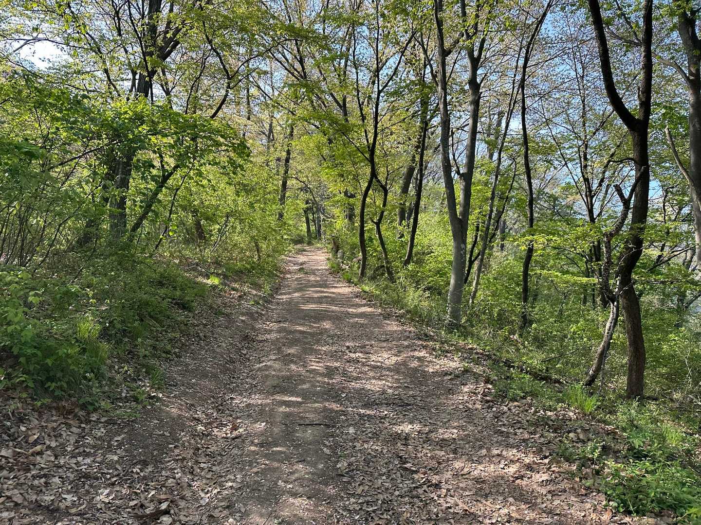 里山を歩くのにちょうど良い季節🍃