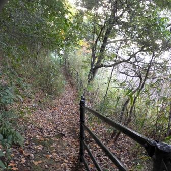 すぐ下に車が走る