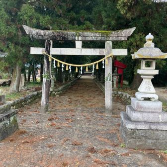再び向山神社の前に戻る。
無事に戻ってこれました。
戻ってきたこの時は満足して帰還。😅