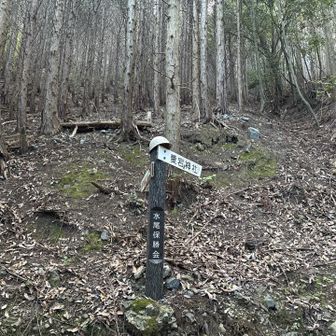 分岐を右に進みました🚶🏻
どちらからも山頂へ行けますが、右からの方が登りが緩やかな感じやったので🙋🏻‍♂️