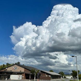 🅿️愛彩ランド（水曜日は定休日らしい）

青空に入道雲が夏の空って感じ