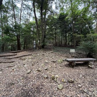 蚊のメッカ🦟妙見峠からまた金華山へ…😤