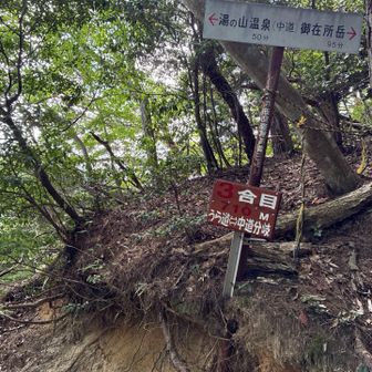 中道へ合流