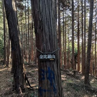 すぐに金比羅山
何もなし