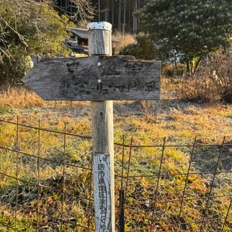 YAMAPのコースだと遠回りでした