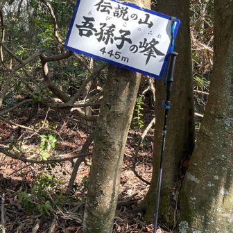 昔は中山連山を安孫子と言ったようです