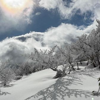 のんびりしてから