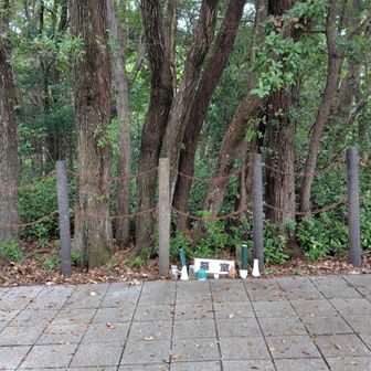 「阿武山古墳」
被葬者は藤原鎌足か？