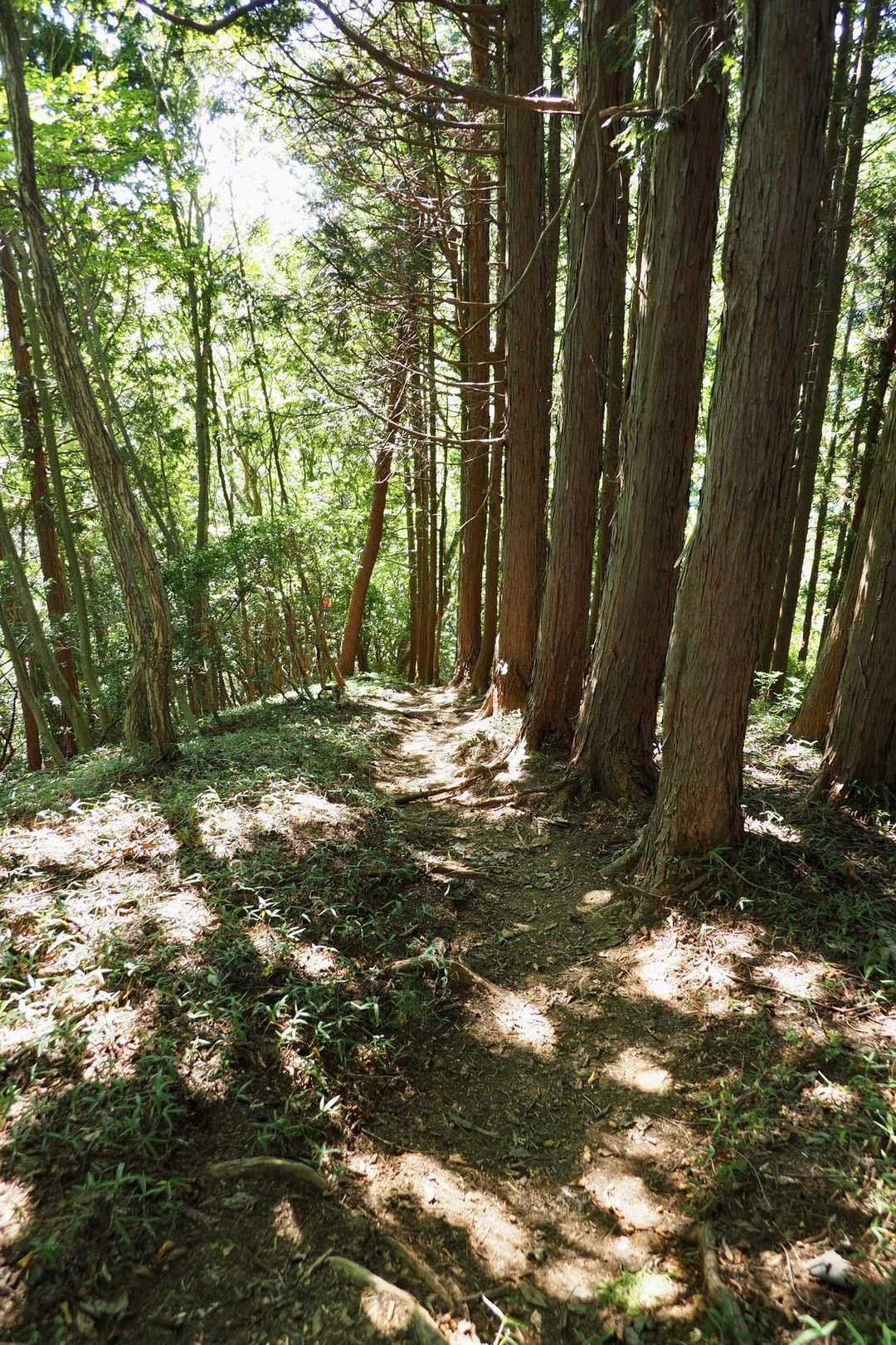 一旦降りて