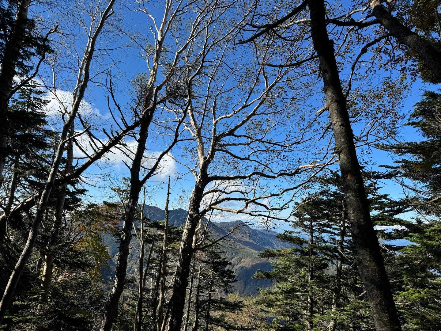 山頂駅-日光白根山 周回コースの写真