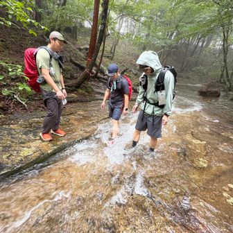 雨で水量が多い⤴︎⤴︎
これは🥾濡れずに渡渉するのは困難ですね