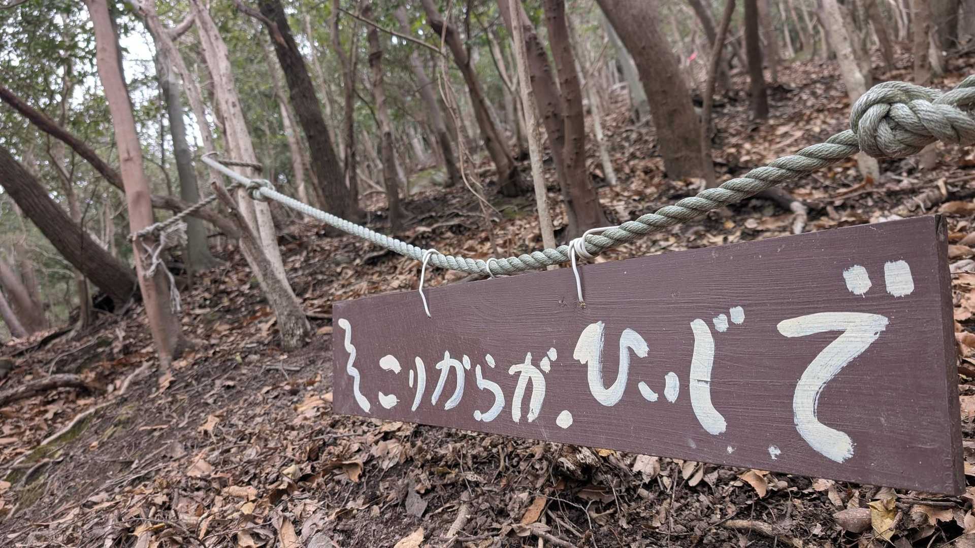 こりからが、ひぃじで？
