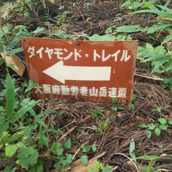 茶色の案内板も付近にあります。