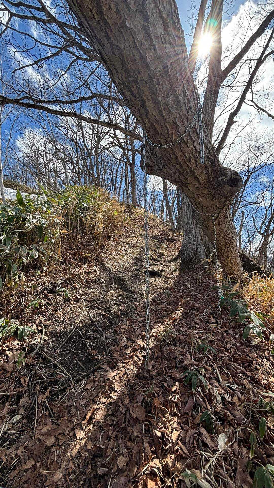 “一の森”へ向かう！