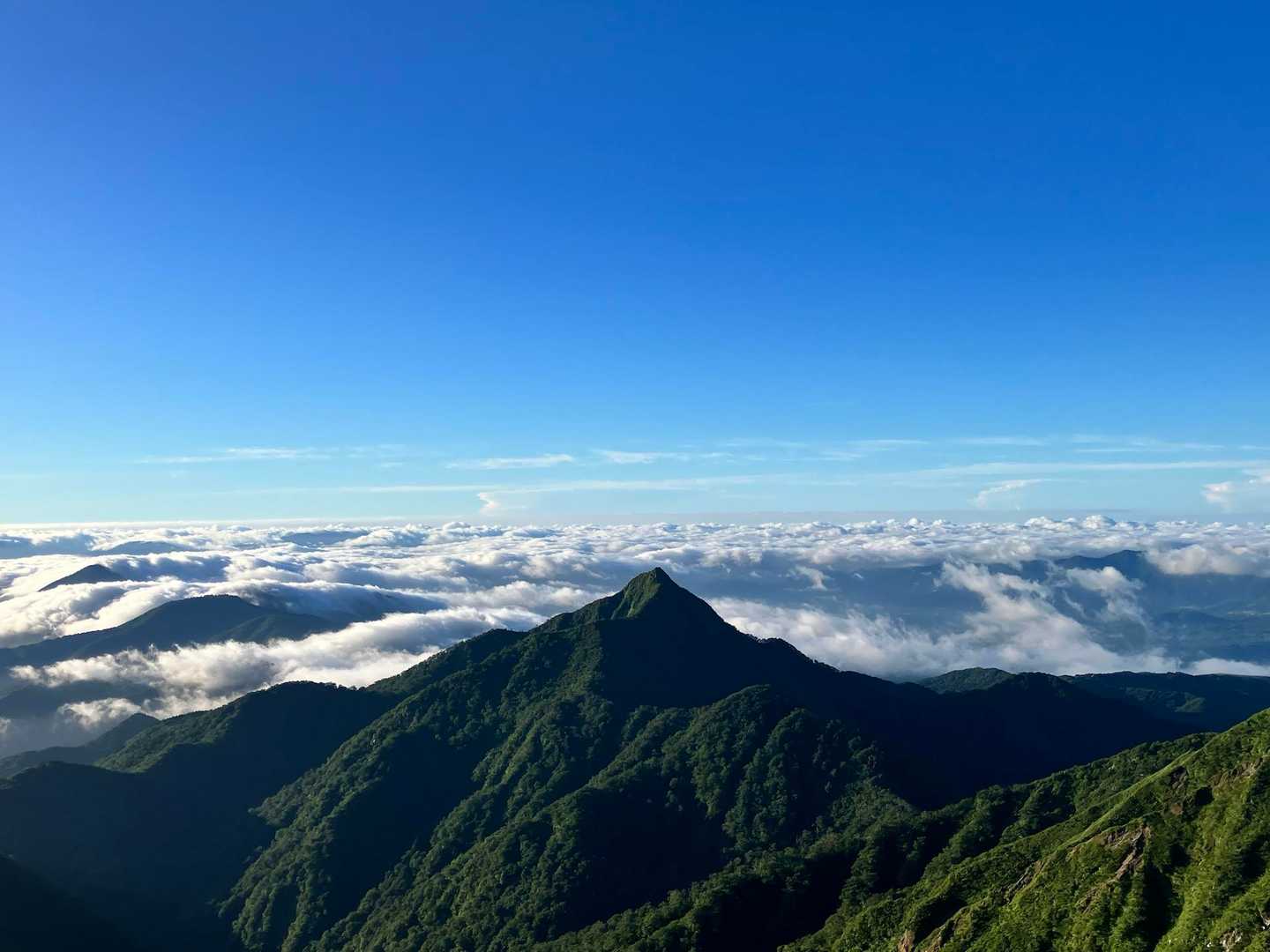 烏ヶ山と雲海。烏ヶ山かっこいい。多分、劔とか槍とか鋭利な山に惹かれるっぽい。

下山は早かった。下山中に陽気なサイクリストママさんとペースが一緒だったので同行することになった。酢昆布とか、スポーツドリンクとか、キャラメルとか、足が攣った時の漢方とかなんか色々くれた❤️また何処かでご一緒できるといいな💡（物に釣られた）