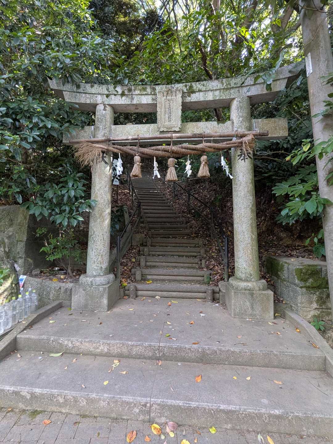 お邪魔します🙏