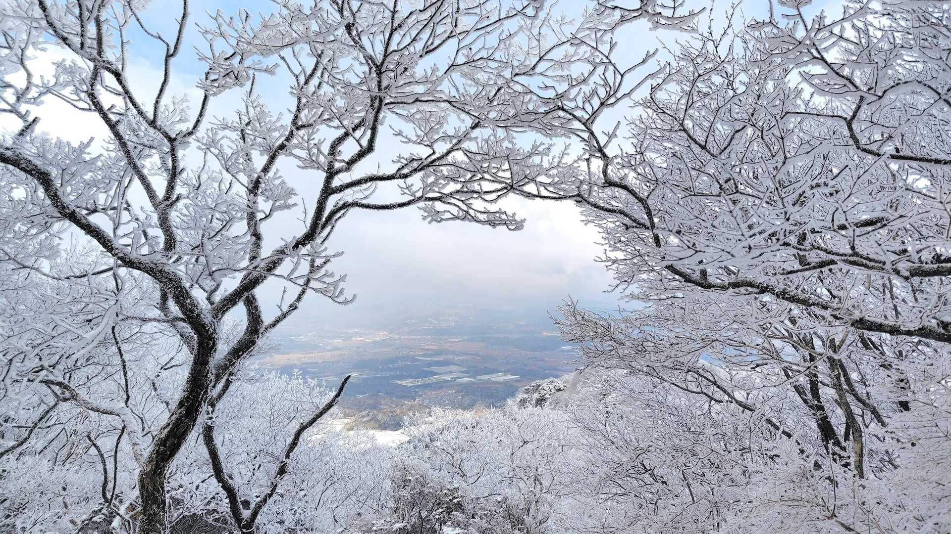 西教山-霊山-霊山登山口 周回コースの写真